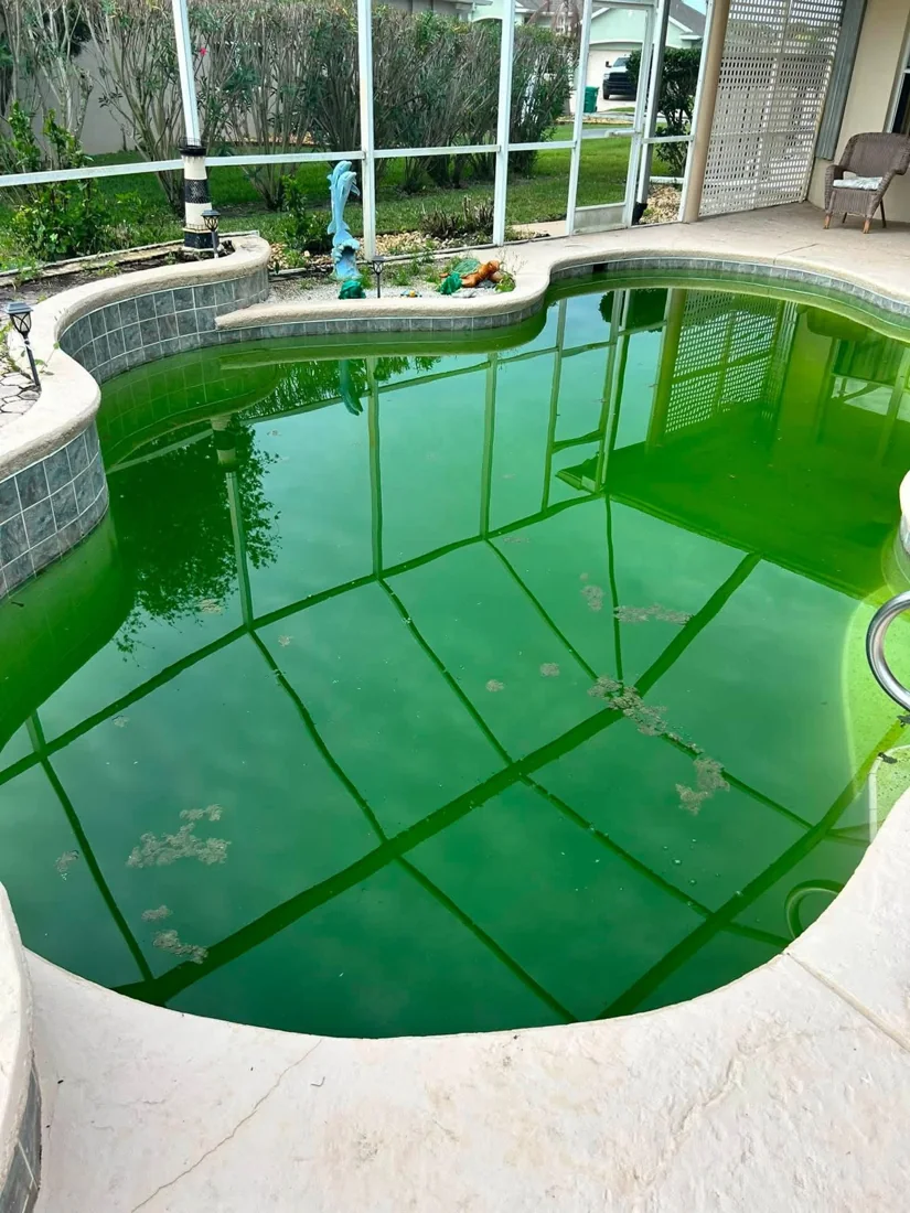 Green pool before Crown Pools treatment