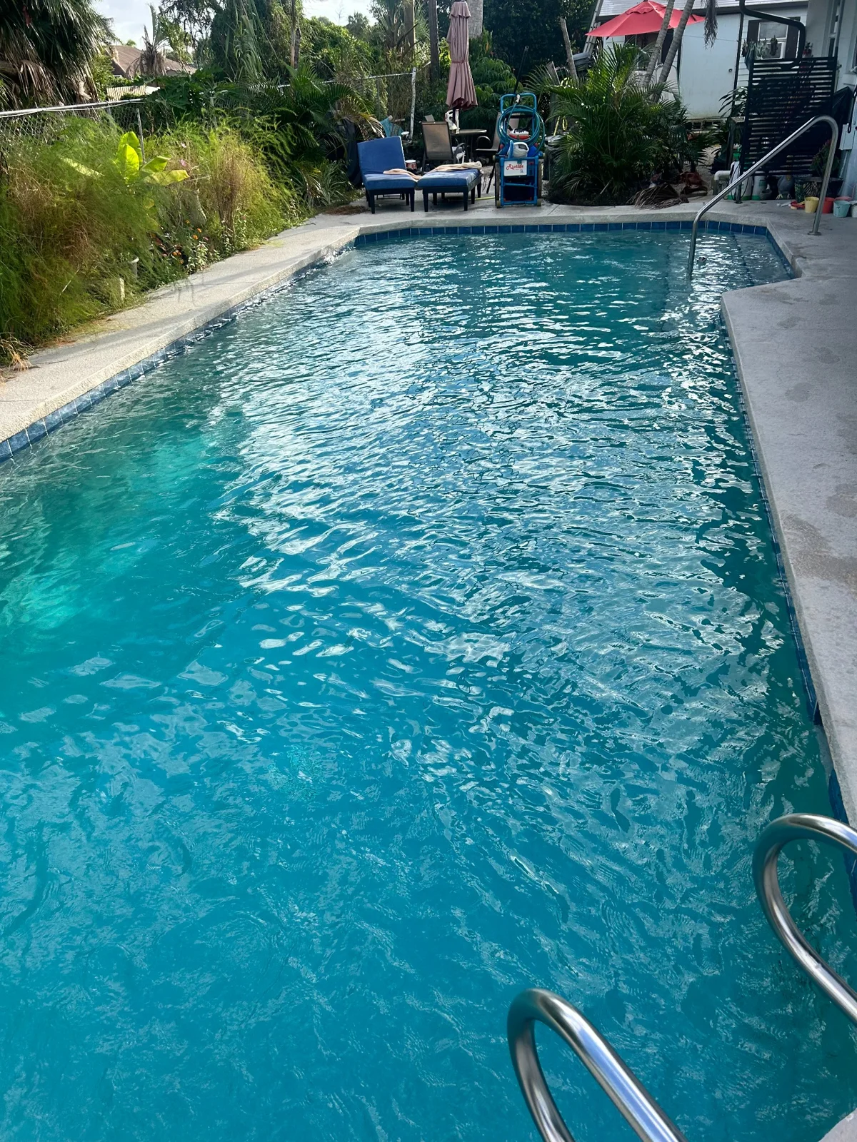 Palm-lined backyard pool
