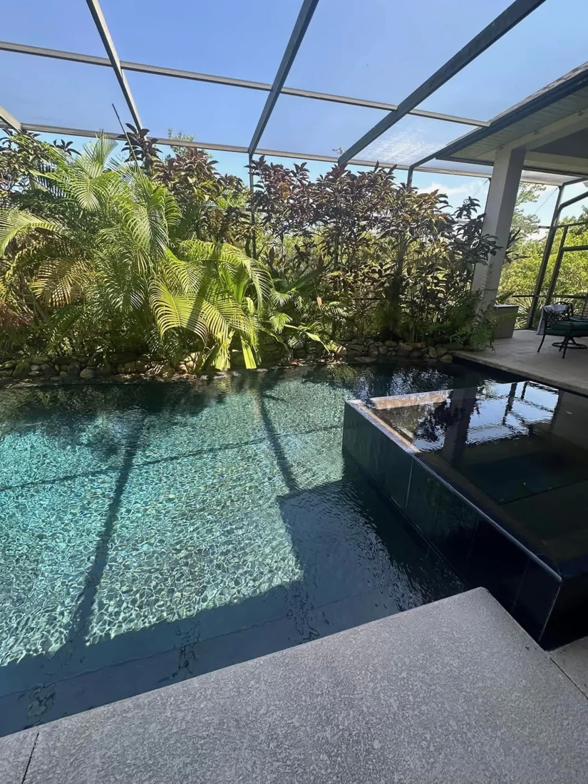 Clear pool with tropical landscaping